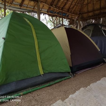 Drunken Monkey Camping Site Hotel Hampi Exterior foto
