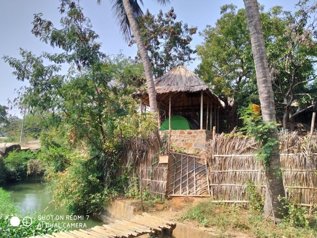 Drunken Monkey Camping Site Hotel Hampi Exterior foto