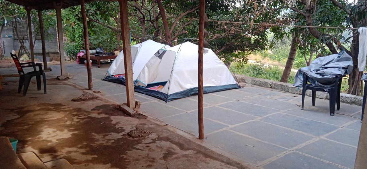 Drunken Monkey Camping Site Hotel Hampi Exterior foto